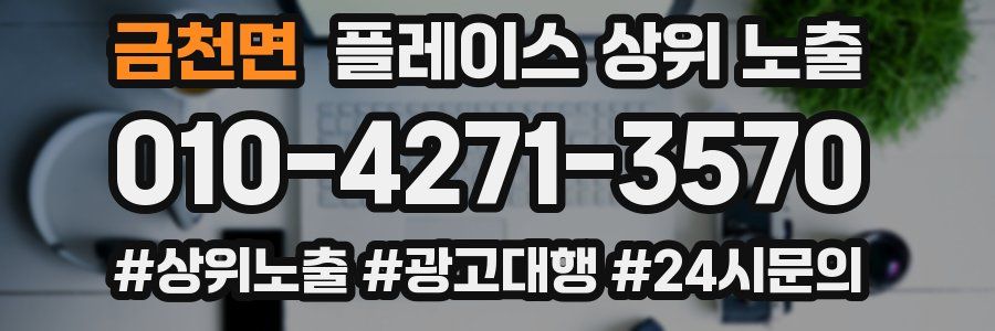 금천면 플레이스 상위 노출