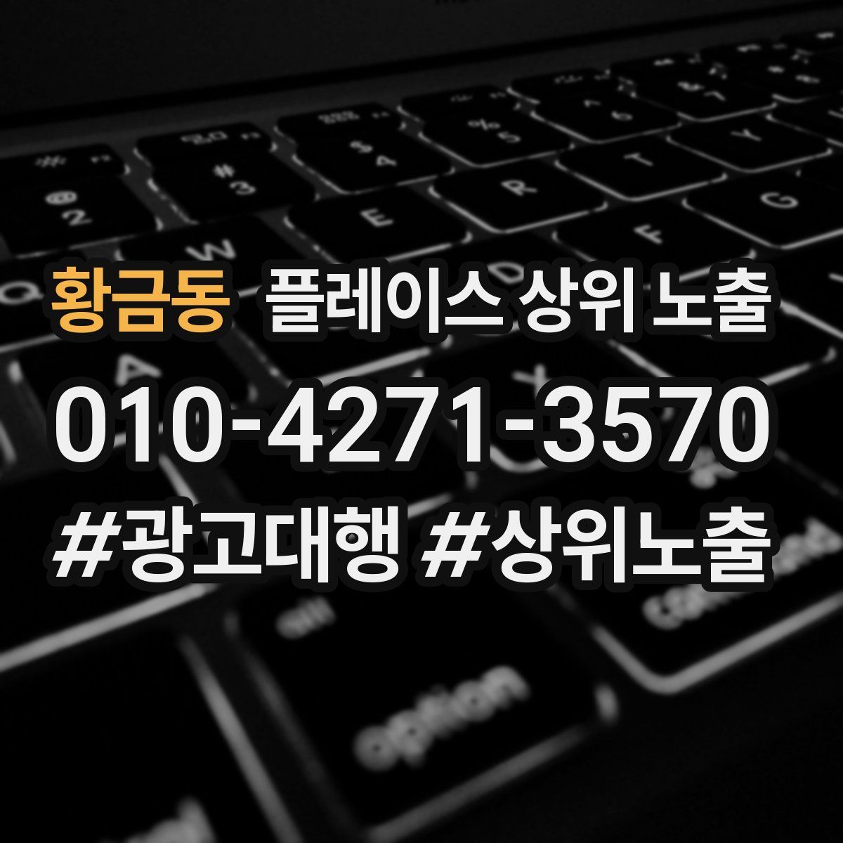 황금동 플레이스 상위 노출