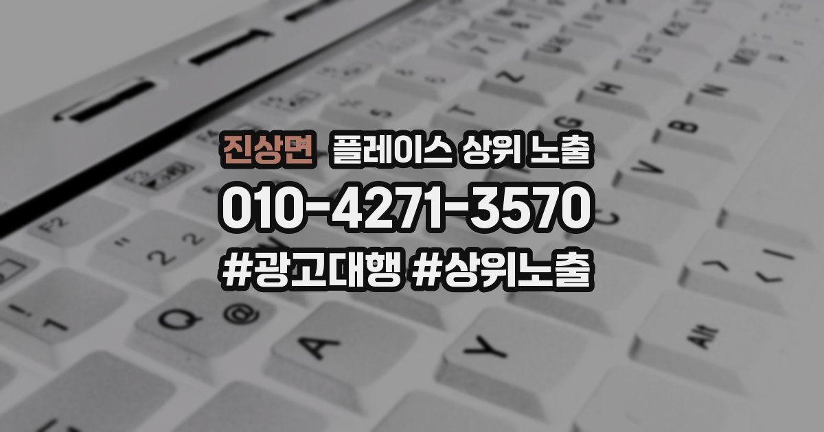 진상면 플레이스 상위 노출
