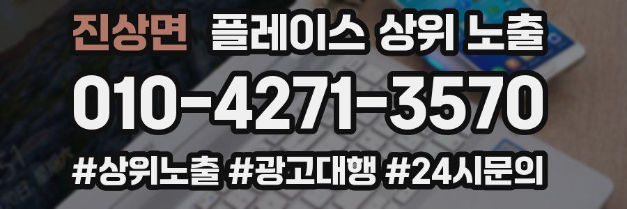진상면 플레이스 상위 노출