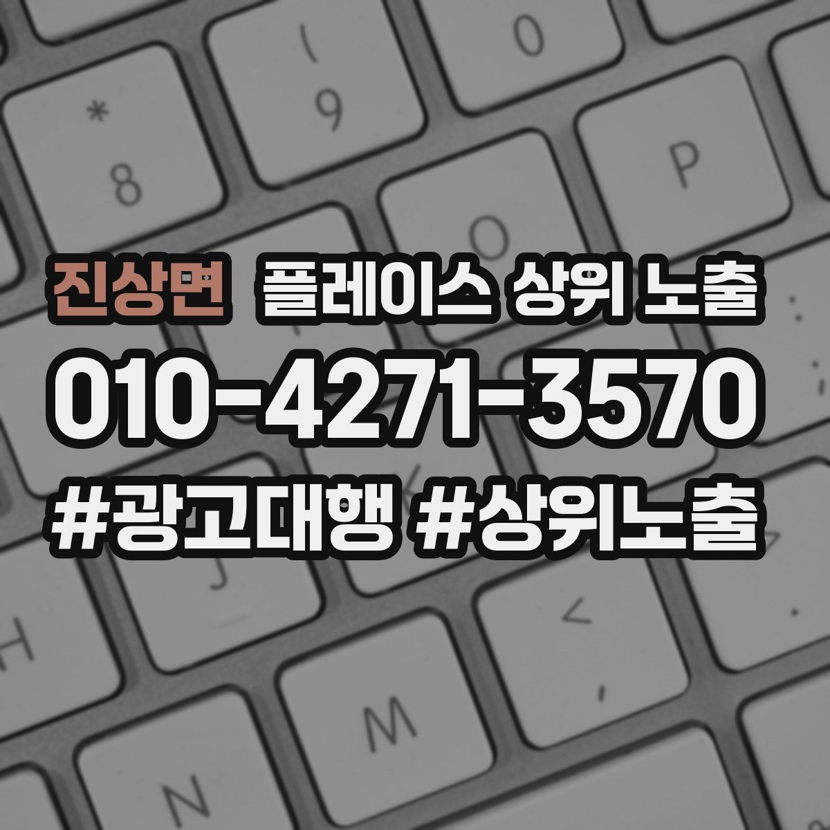 진상면 플레이스 상위 노출