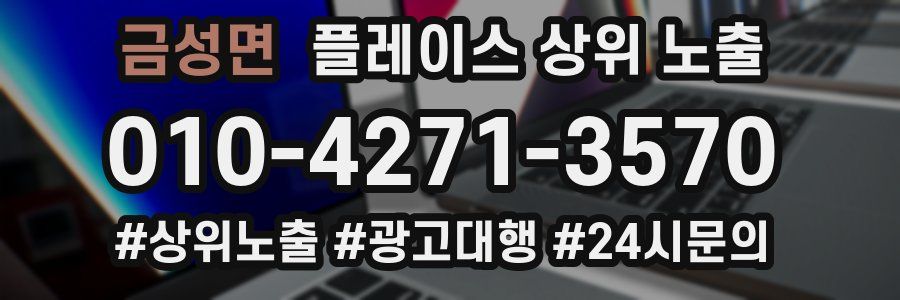 금성면 플레이스 상위 노출