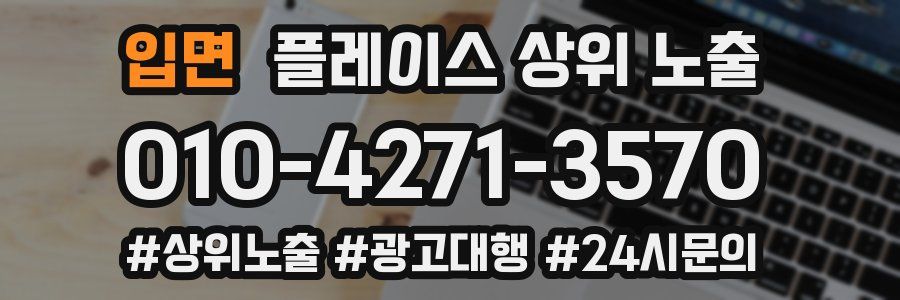 입면 플레이스 상위 노출