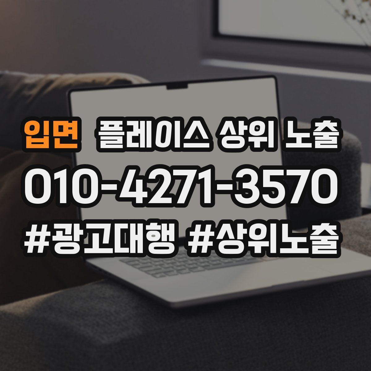 입면 플레이스 상위 노출