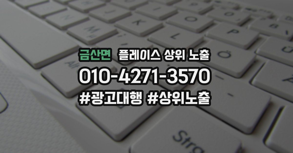 금산면 플레이스 상위 노출