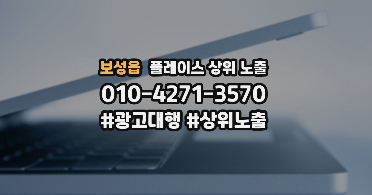 보성읍 플레이스 상위 노출