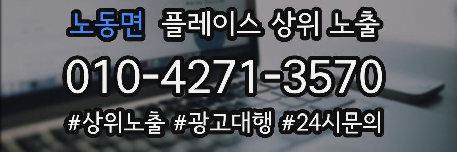 노동면 플레이스 상위 노출