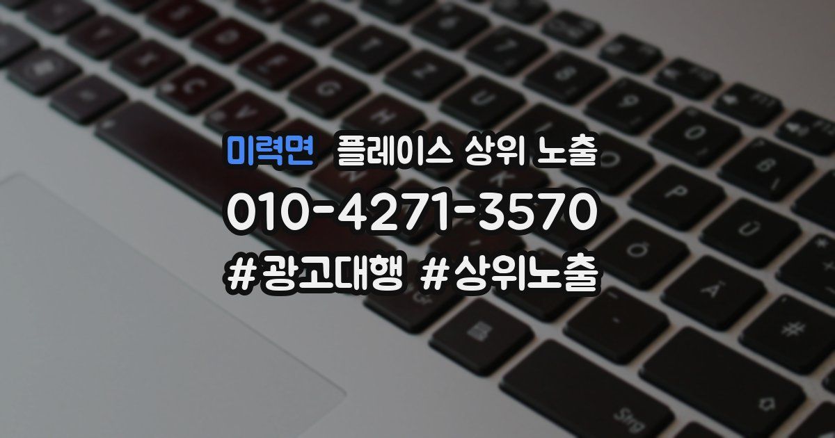 미력면 플레이스 상위 노출