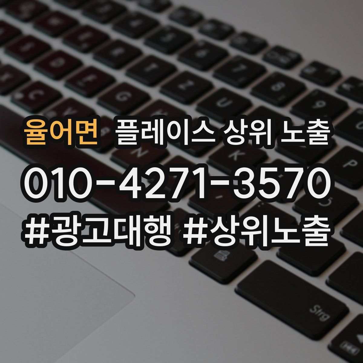 율어면 플레이스 상위 노출