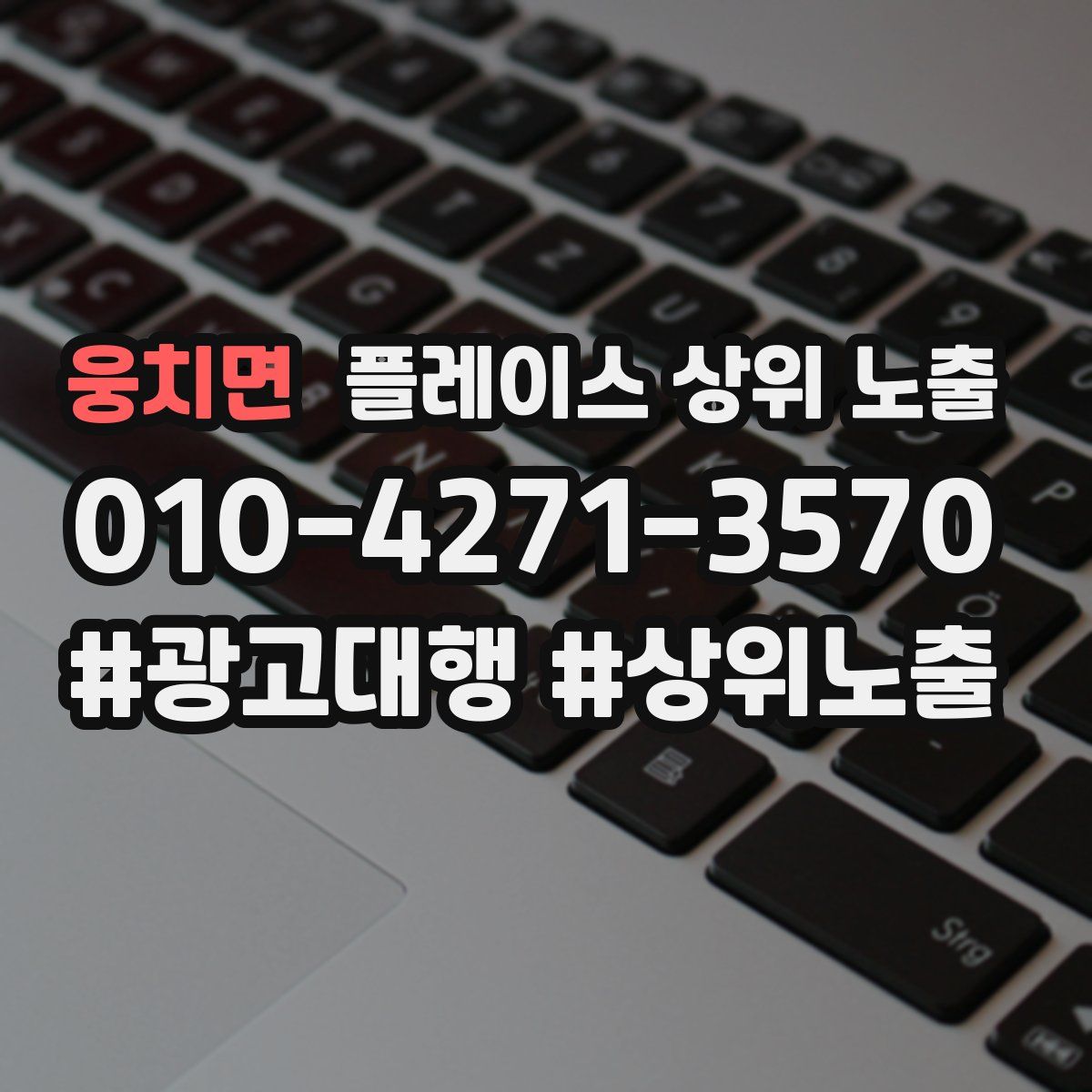 웅치면 플레이스 상위 노출