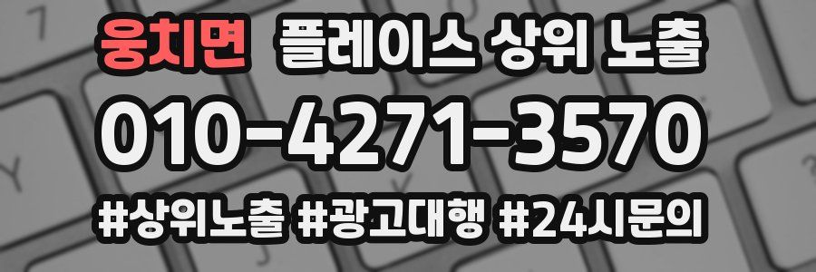 웅치면 플레이스 상위 노출