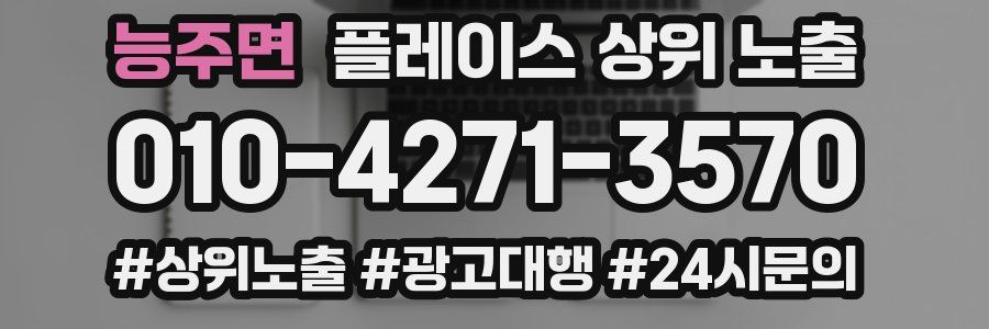 능주면 플레이스 상위 노출