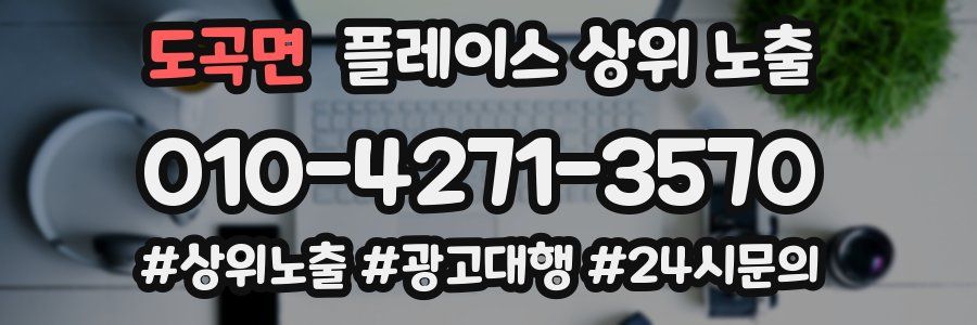 도곡면 플레이스 상위 노출