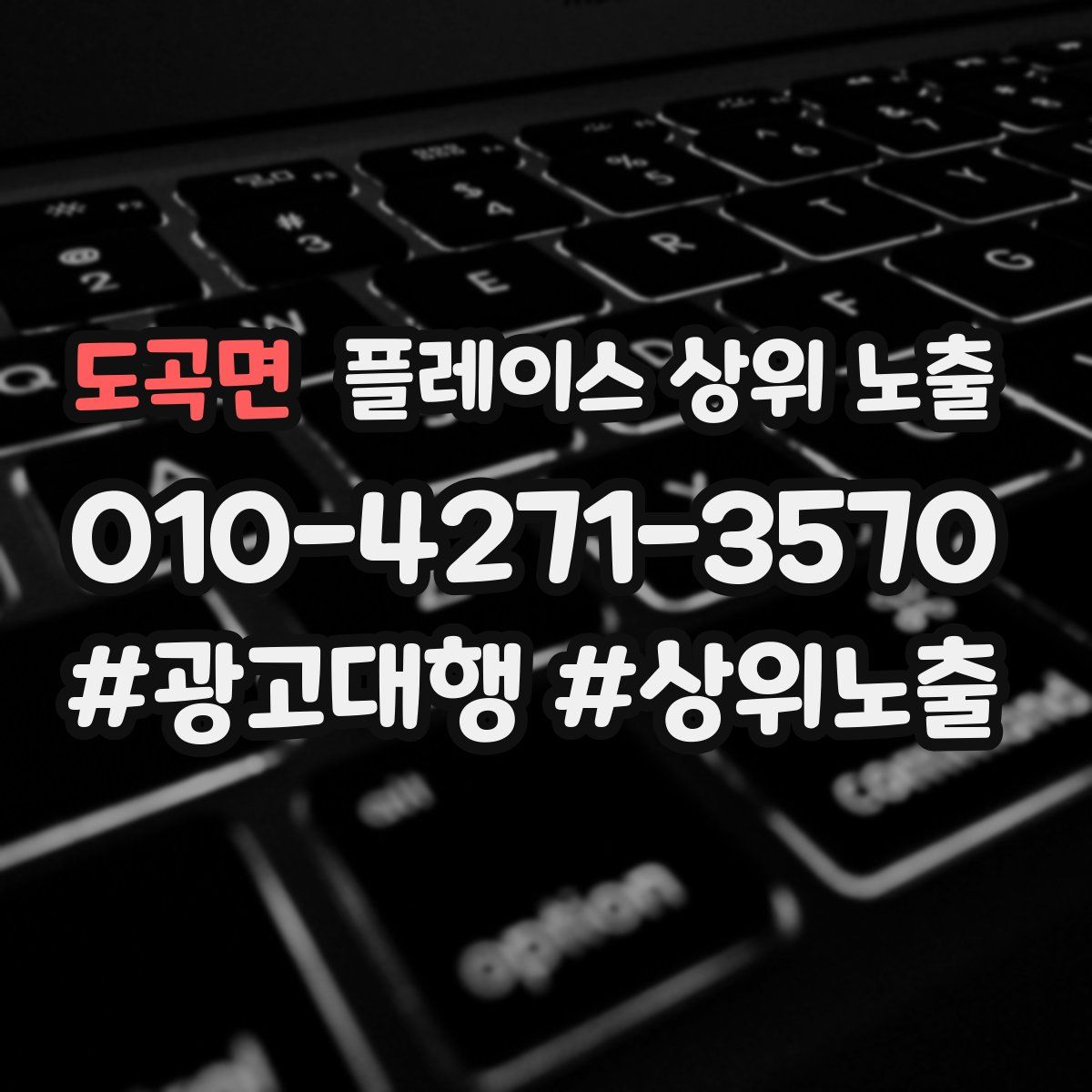 도곡면 플레이스 상위 노출