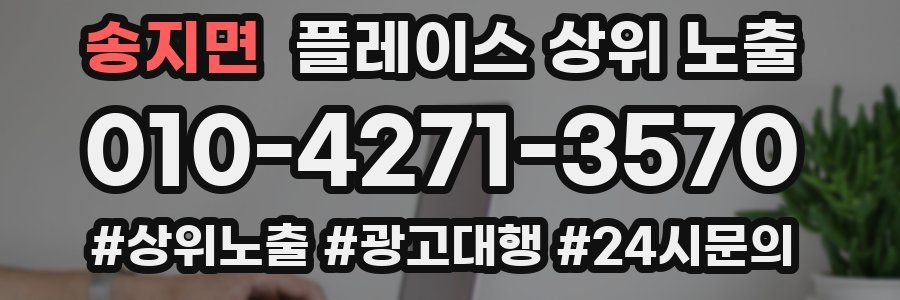 송지면 플레이스 상위 노출