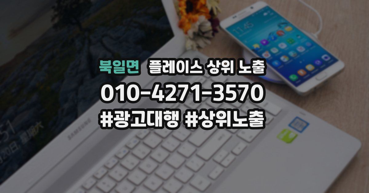 북일면 플레이스 상위 노출
