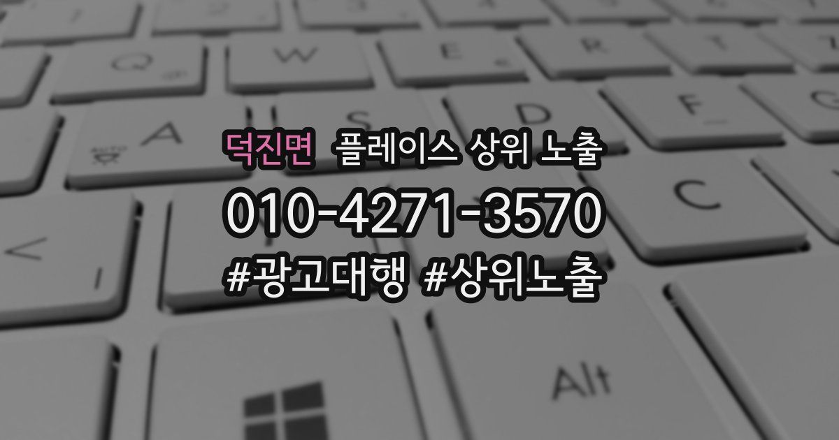 덕진면 플레이스 상위 노출