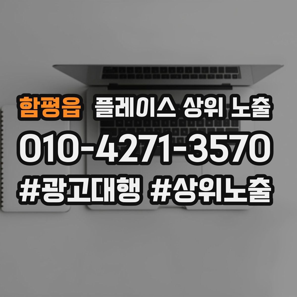 함평읍 플레이스 상위 노출