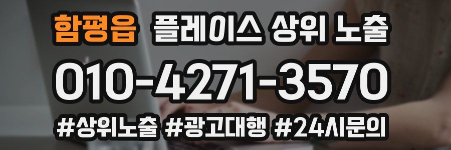 함평읍 플레이스 상위 노출