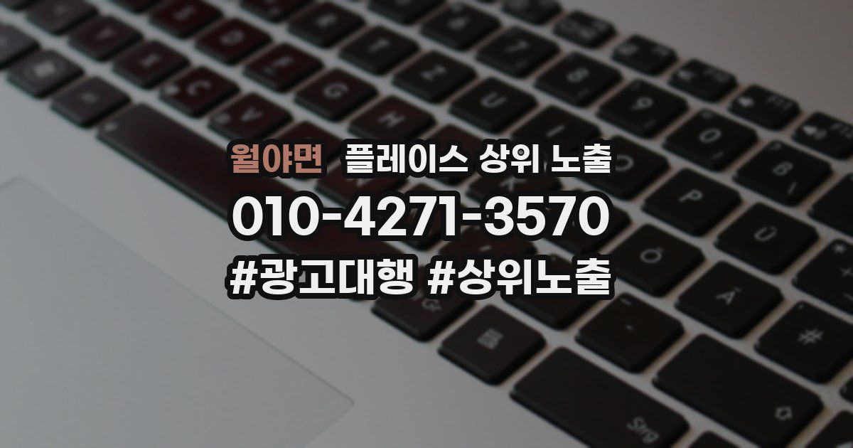 월야면 플레이스 상위 노출