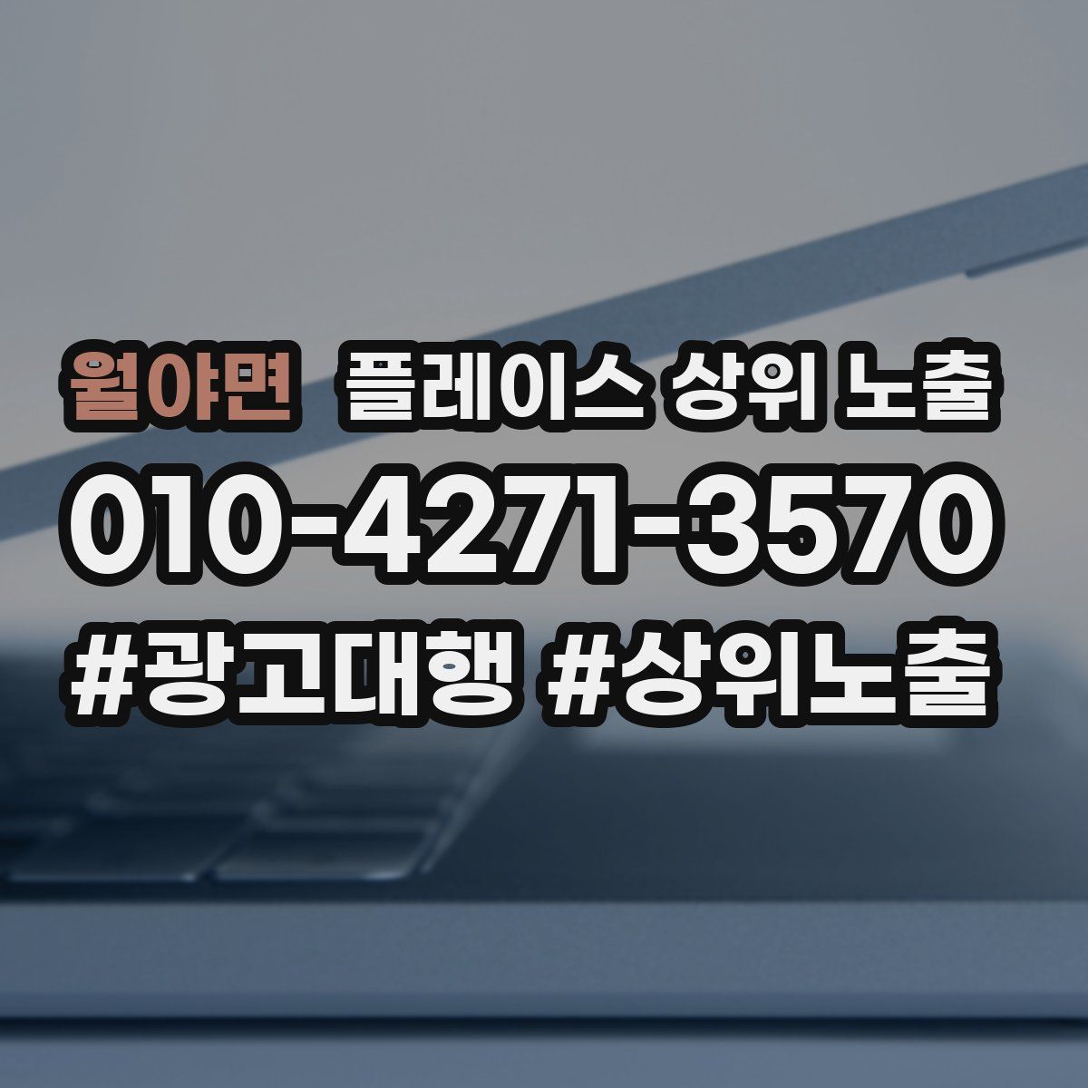 월야면 플레이스 상위 노출