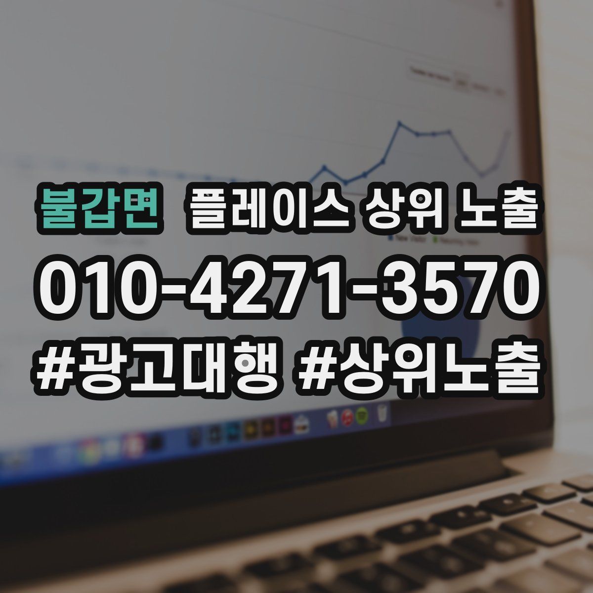 불갑면 플레이스 상위 노출