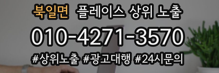 북일면 플레이스 상위 노출