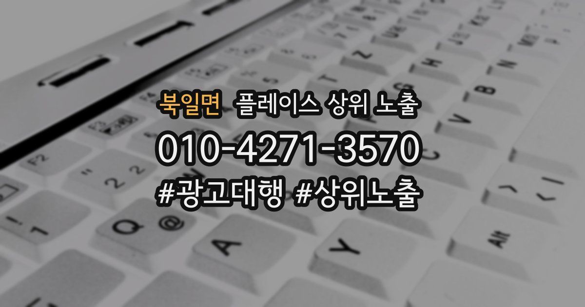 북일면 플레이스 상위 노출