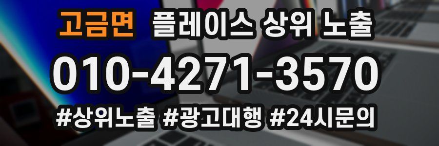 고금면 플레이스 상위 노출