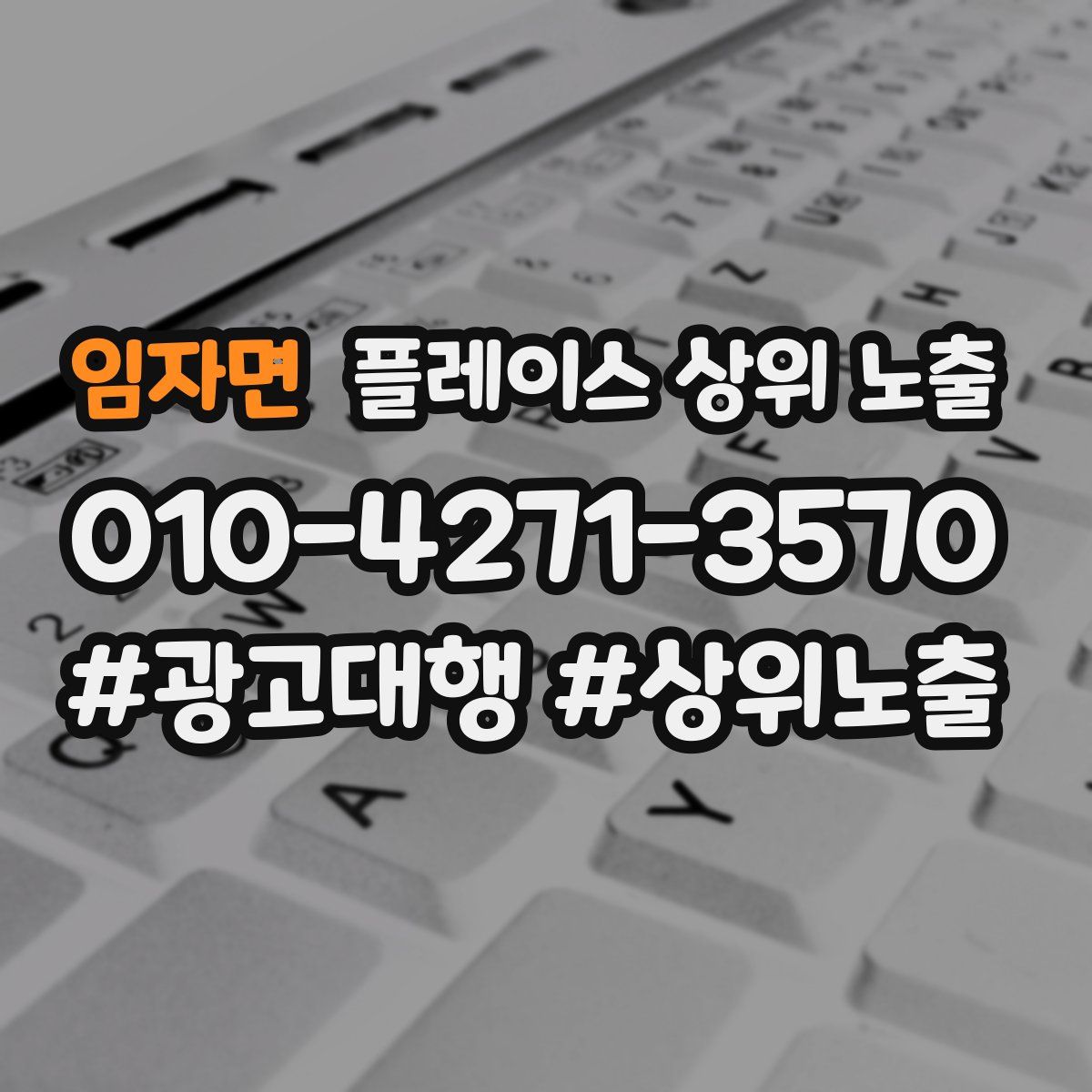 임자면 플레이스 상위 노출