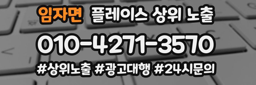 임자면 플레이스 상위 노출