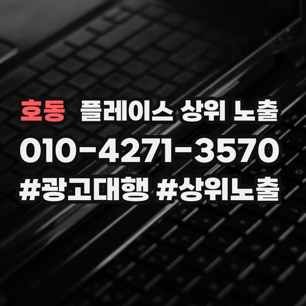 호동 플레이스 상위 노출
