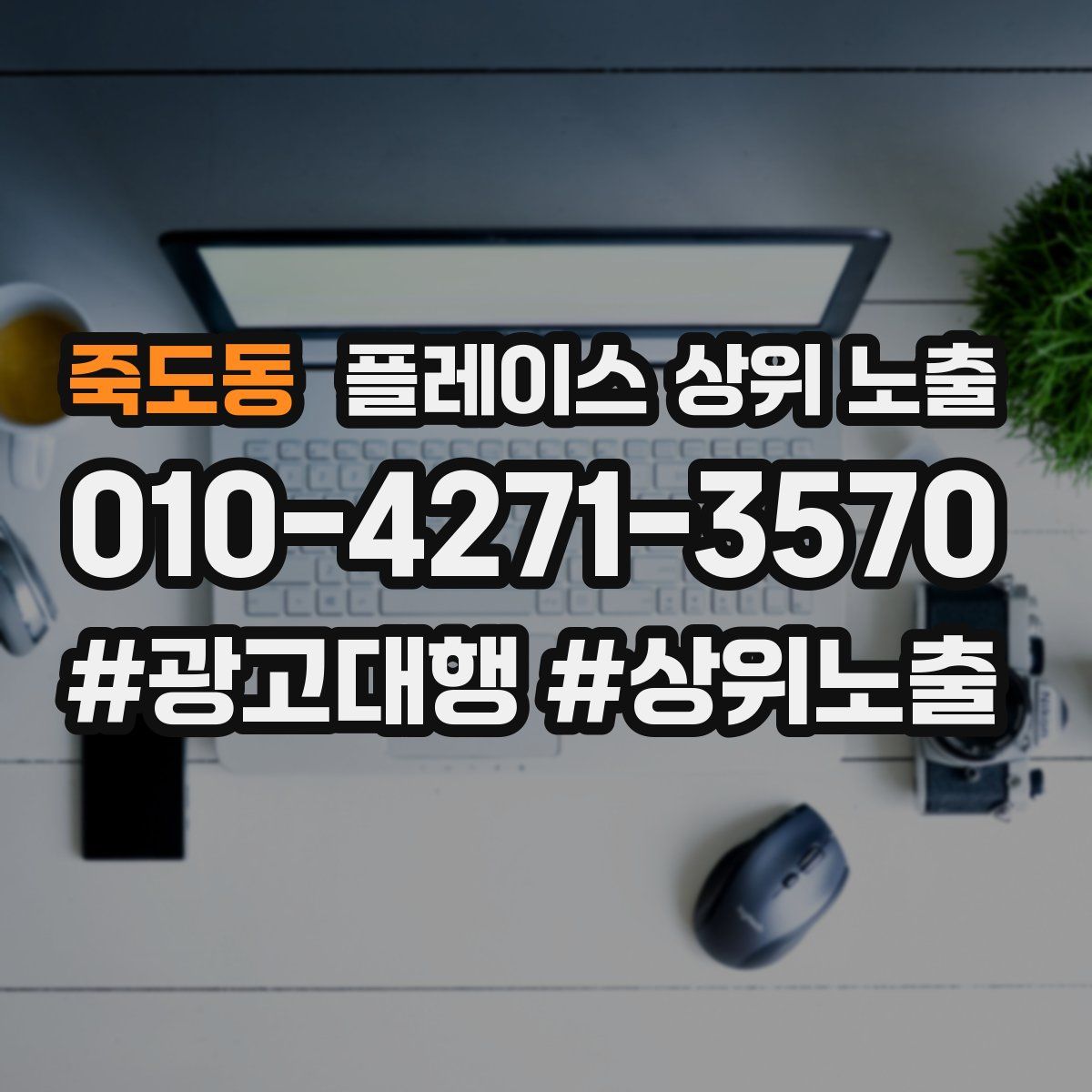 죽도동 플레이스 상위 노출