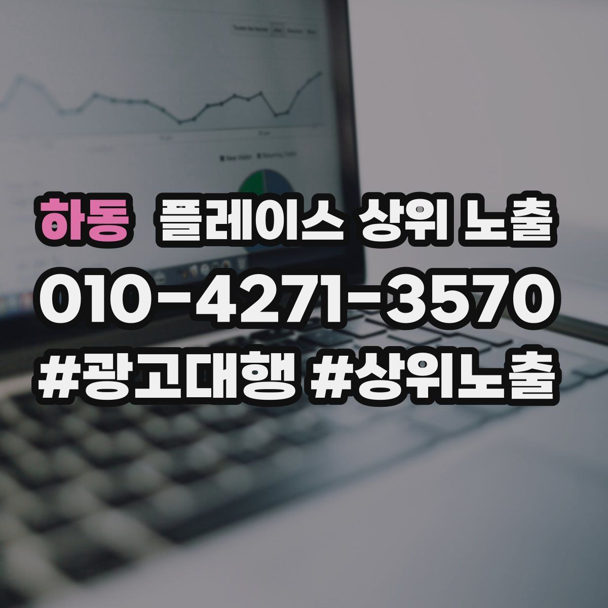 하동 플레이스 상위 노출