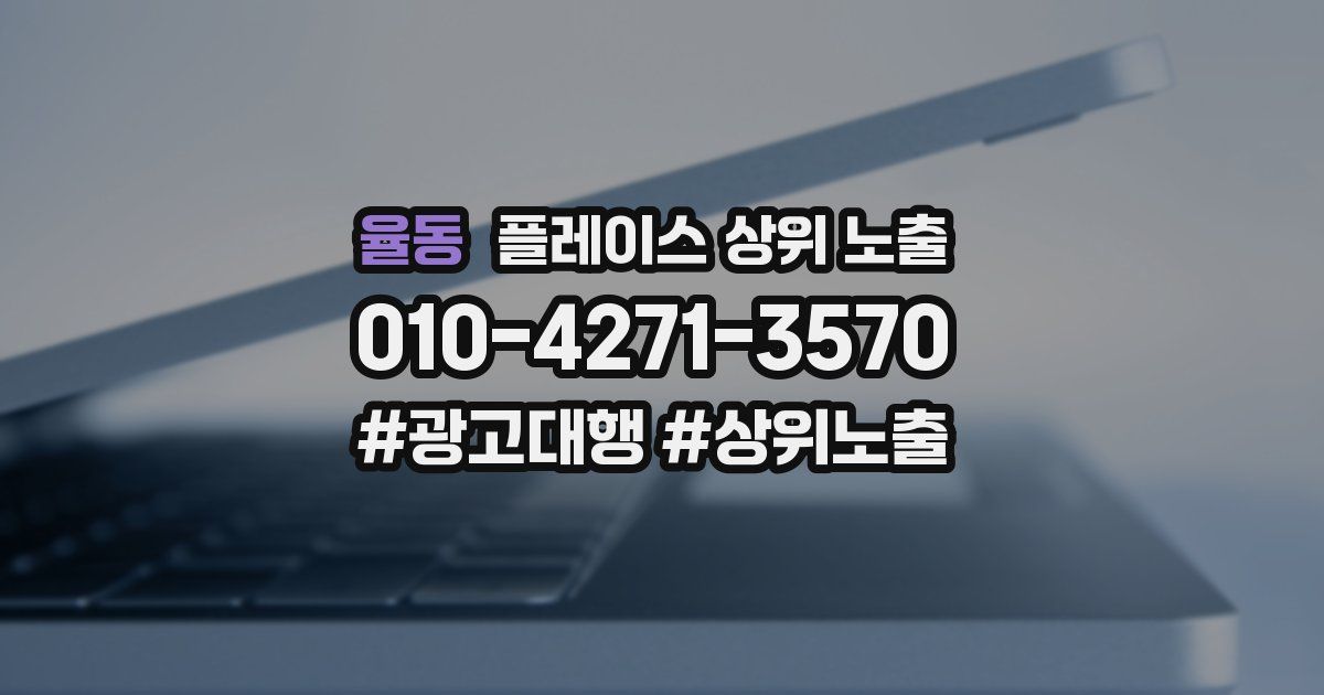 율동 플레이스 상위 노출