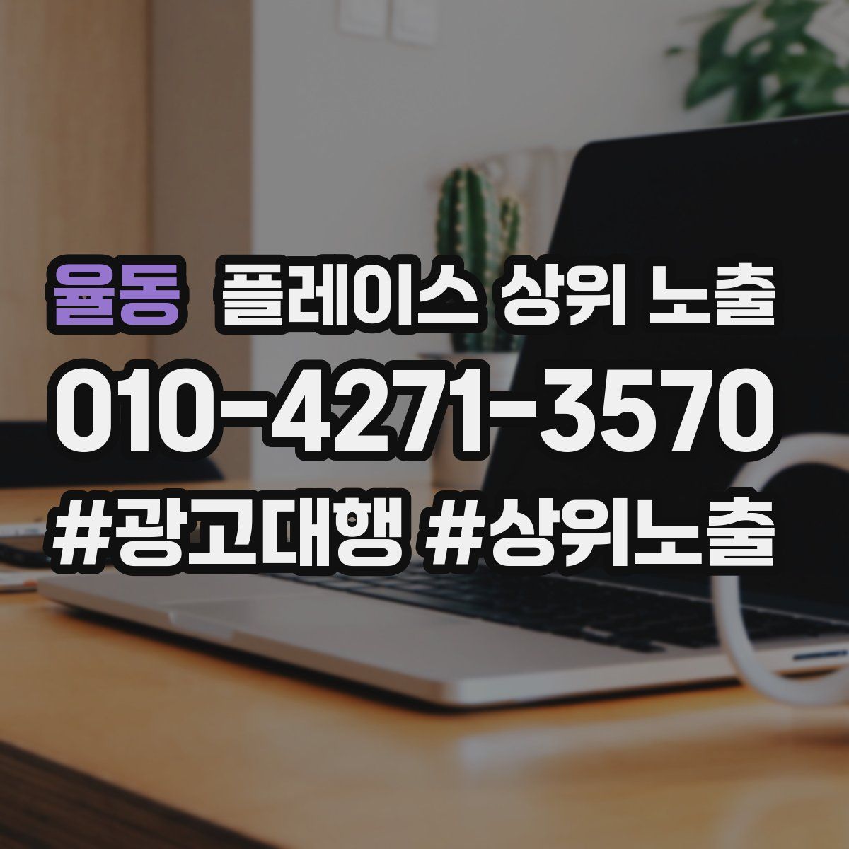 율동 플레이스 상위 노출