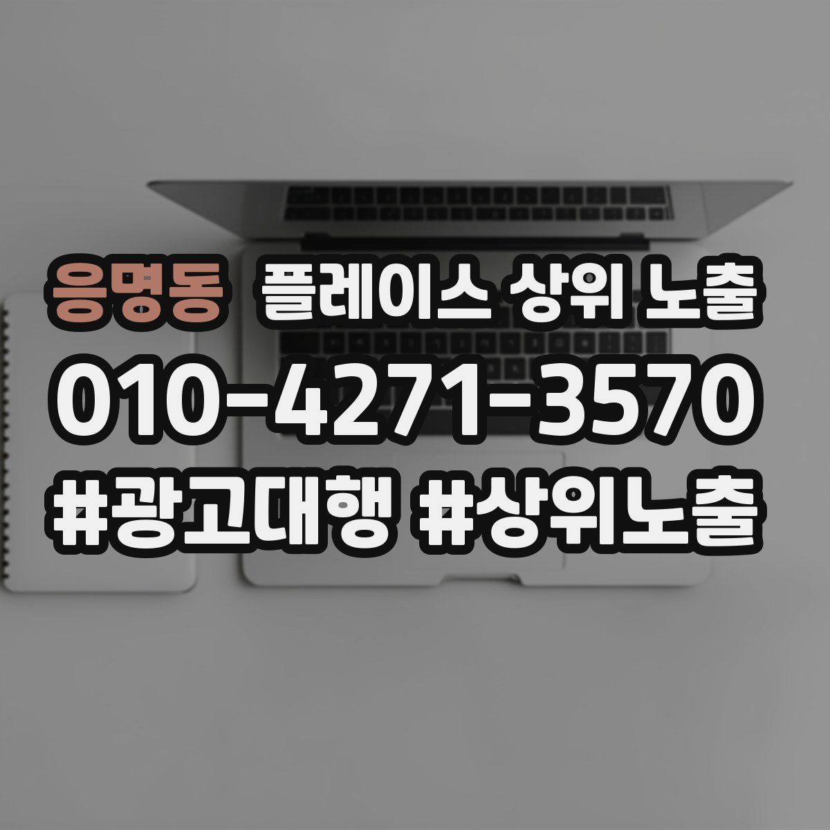 응명동 플레이스 상위 노출