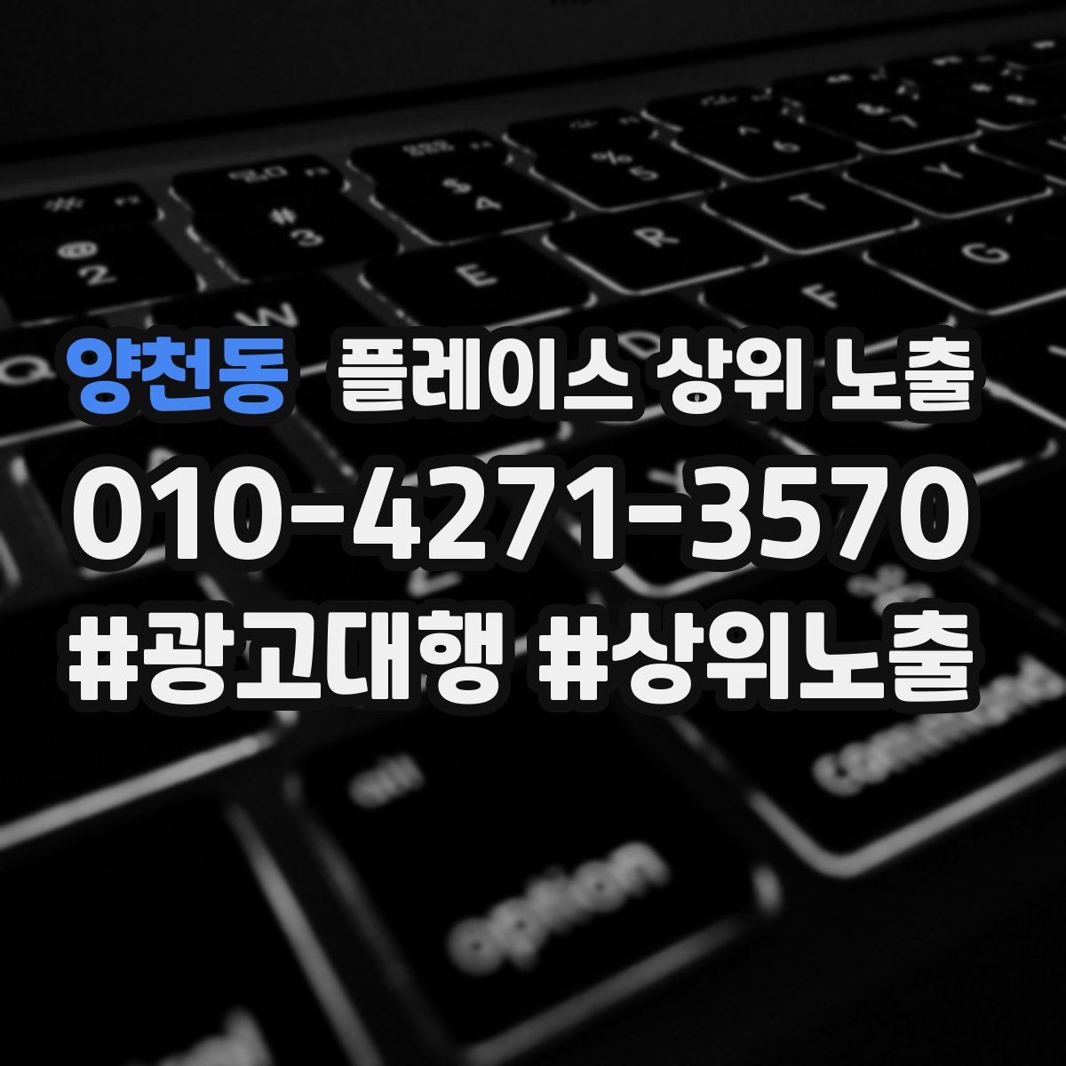 양천동 플레이스 상위 노출