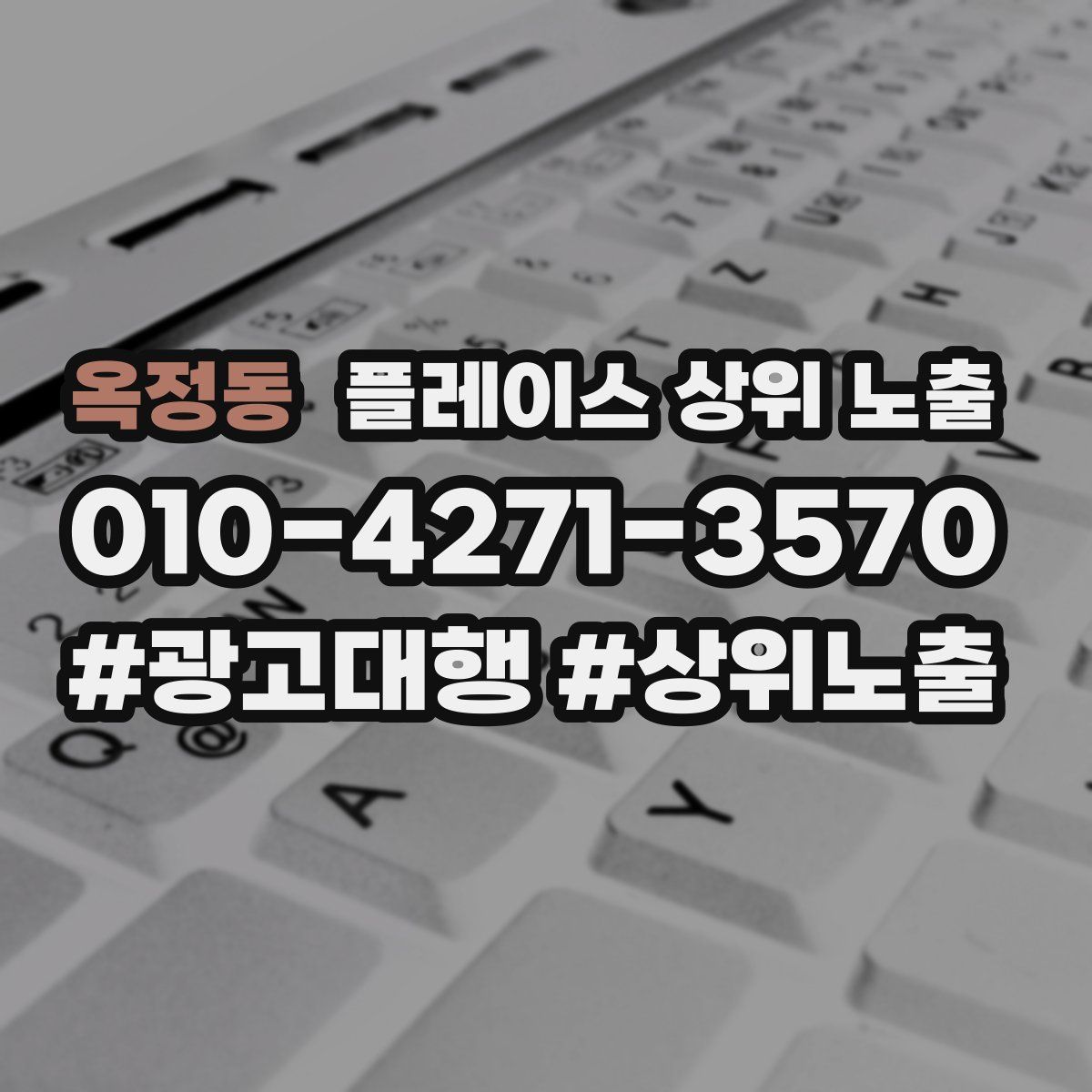 옥정동 플레이스 상위 노출