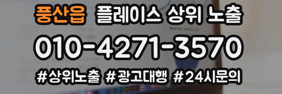 풍산읍 플레이스 상위 노출