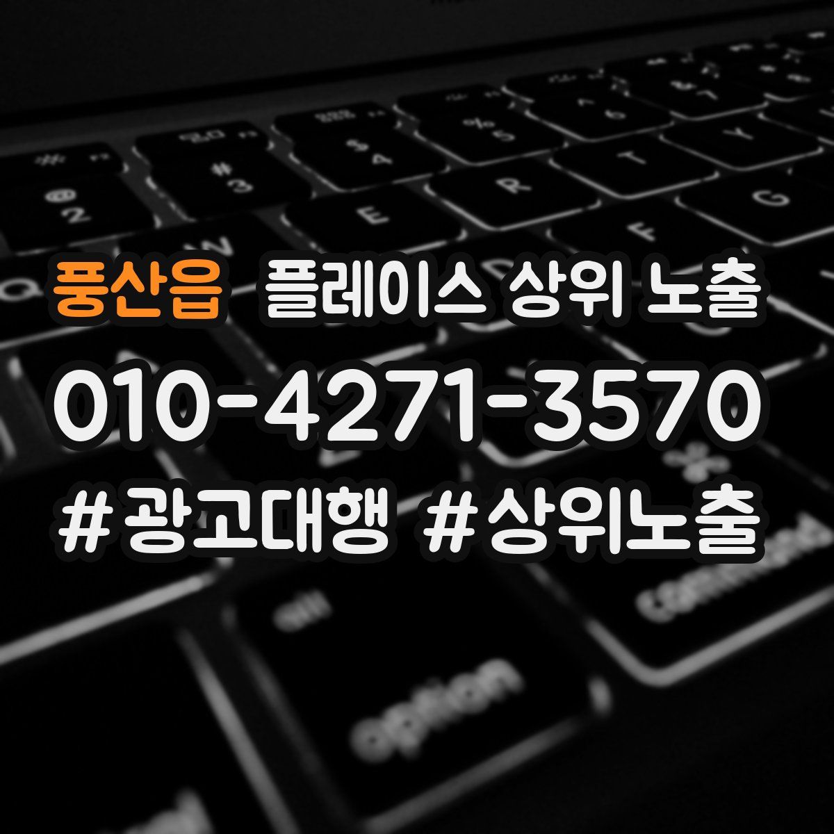 풍산읍 플레이스 상위 노출