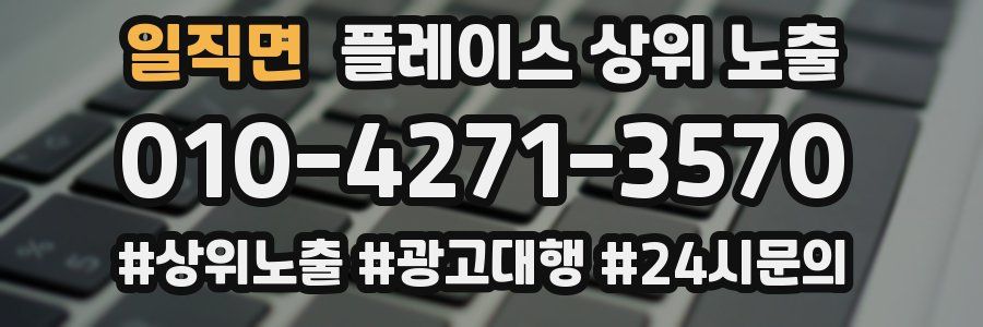 일직면 플레이스 상위 노출