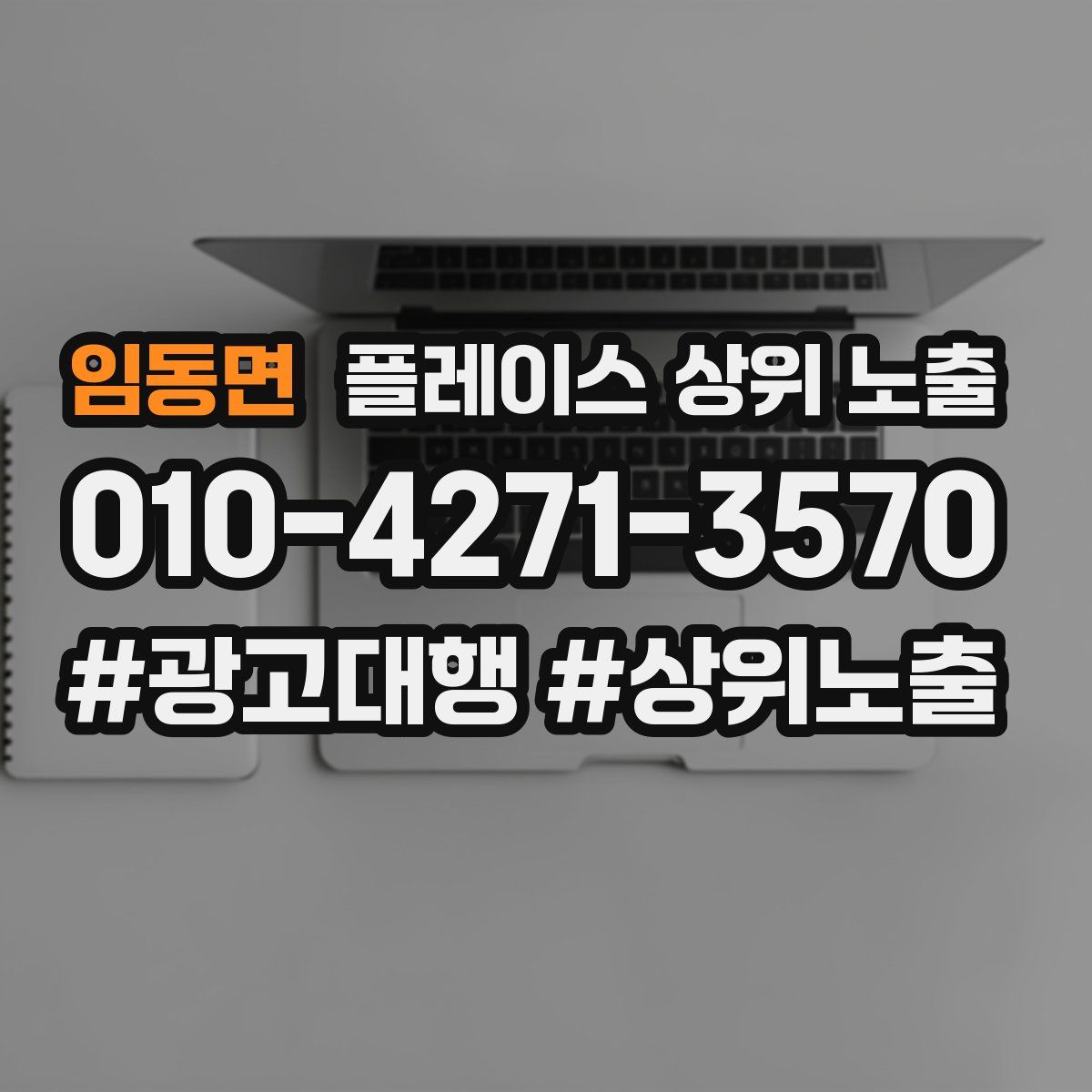 임동면 플레이스 상위 노출