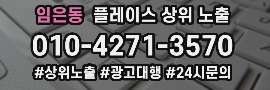 임은동 플레이스 상위 노출