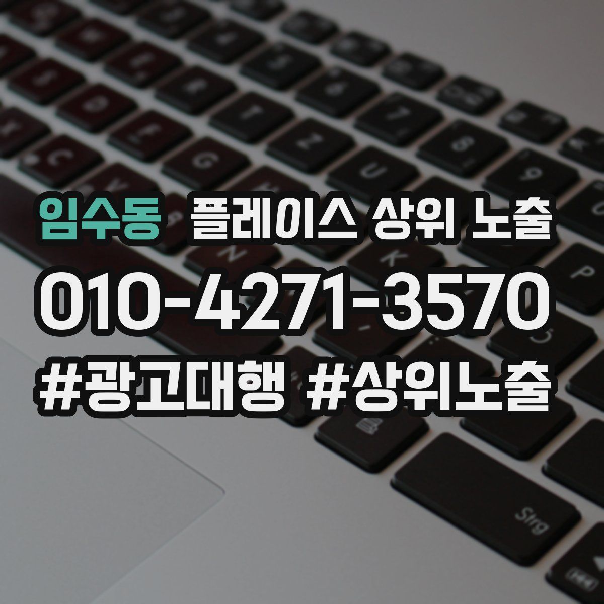 임수동 플레이스 상위 노출