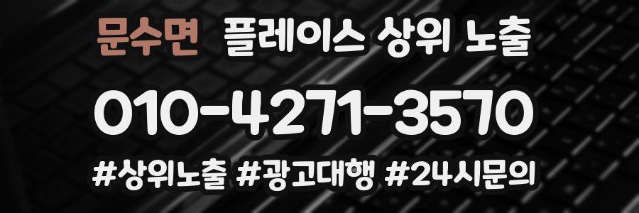 문수면 플레이스 상위 노출
