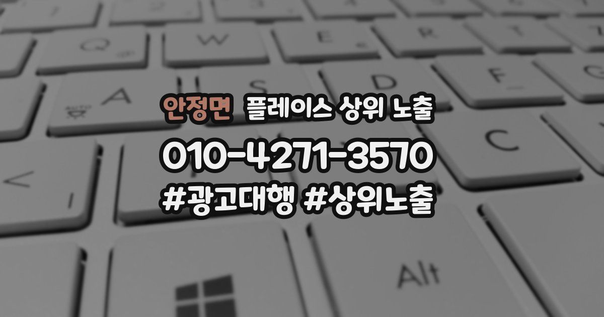 안정면 플레이스 상위 노출