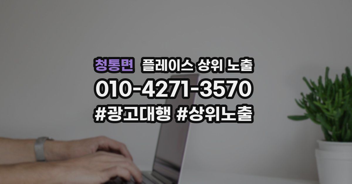 청통면 플레이스 상위 노출