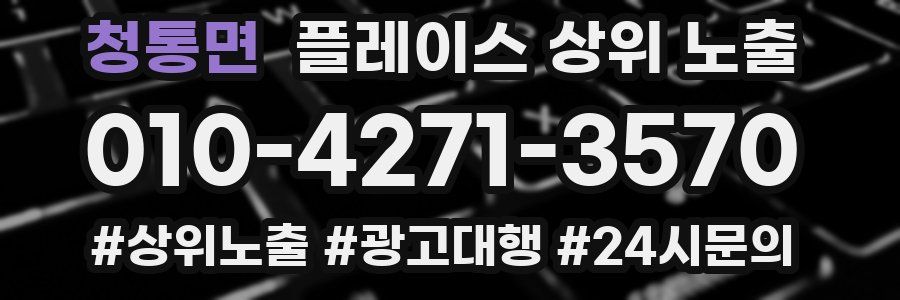 청통면 플레이스 상위 노출