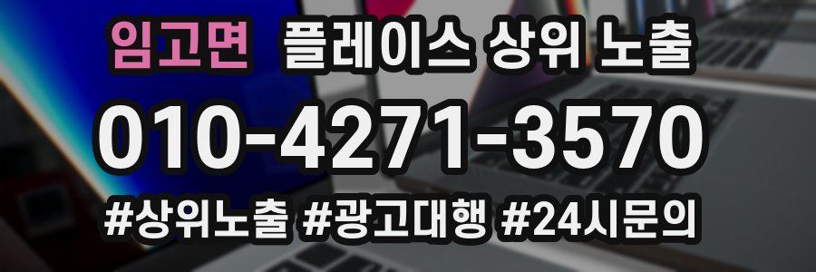 임고면 플레이스 상위 노출